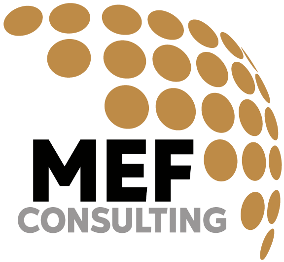 MEF Consulting GmbH Logo